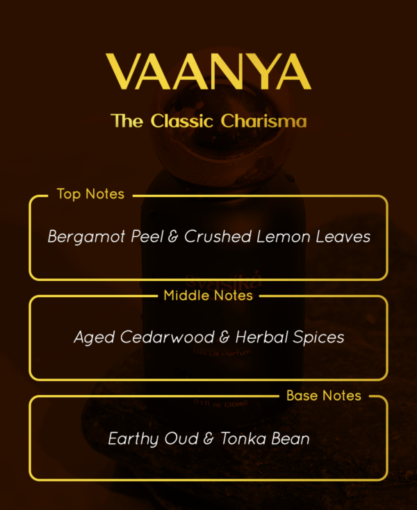 VAANYA - Image 4